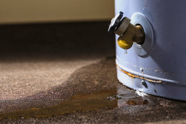 Best Water damage repair service  in Elmendorf, TX