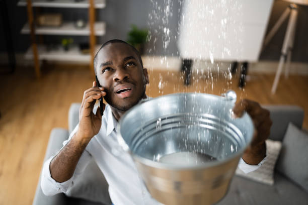 Best Mold removal after water damage  in Elmendorf, TX