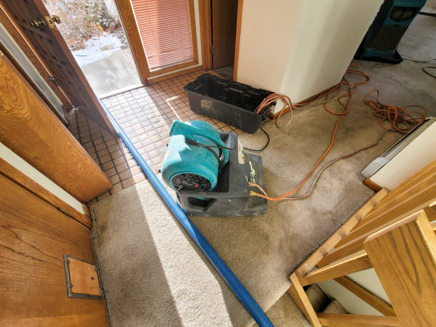 Best Flooded house restoration  in Elmendorf, TX